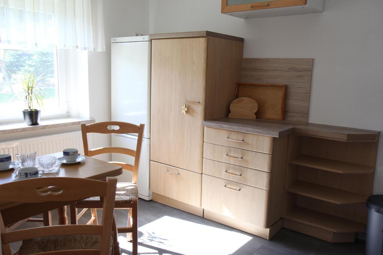 Ferienwohnung Lippmann Grosshartmannsdorf Exteriör bild